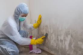 Biohazard Mold Removal in Mineola, NY